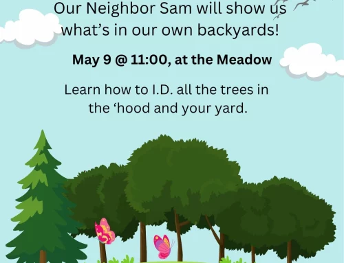 TREE I.D. EVENT