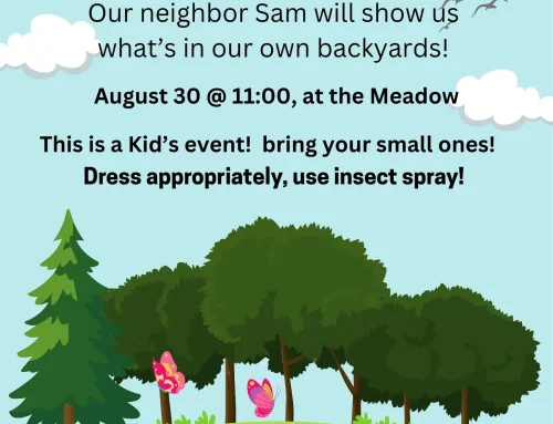 Kids’ Event: Learn About Our Craneridge Trees