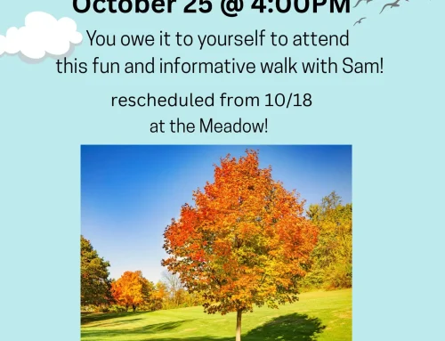 Learn to Identify Trees with Sam – October 25